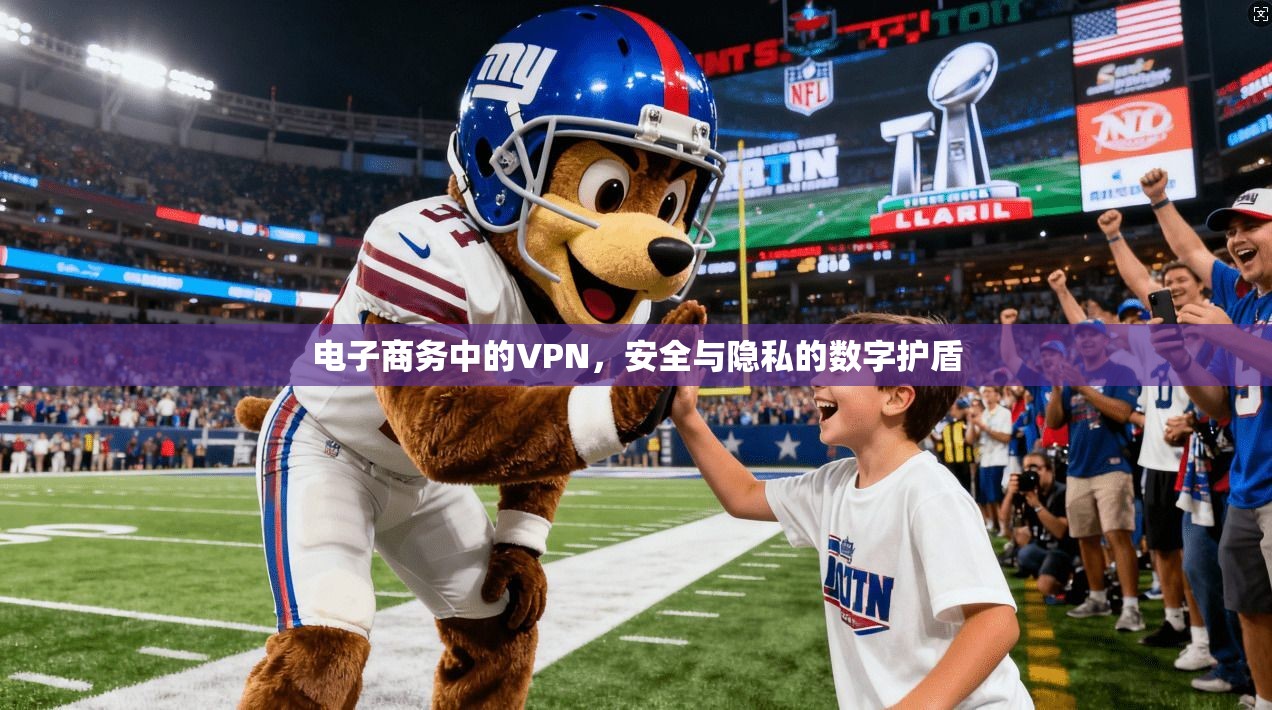 电子商务中的VPN，安全与隐私的数字护盾