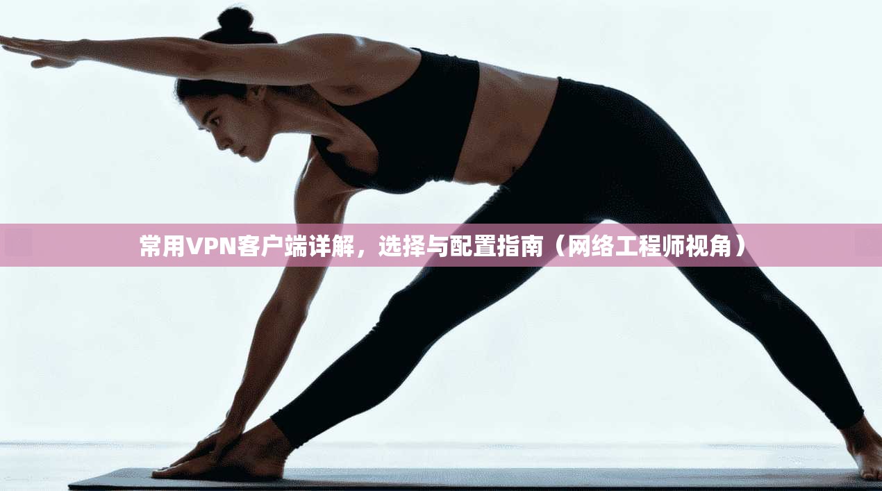 常用VPN客户端详解，选择与配置指南（网络工程师视角）