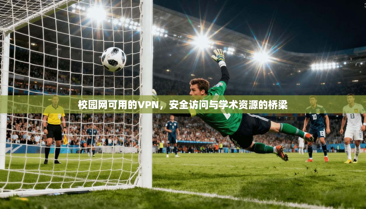校园网可用的VPN，安全访问与学术资源的桥梁