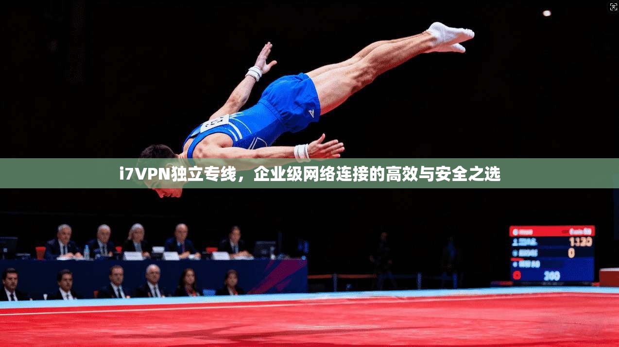i7VPN独立专线，企业级网络连接的高效与安全之选