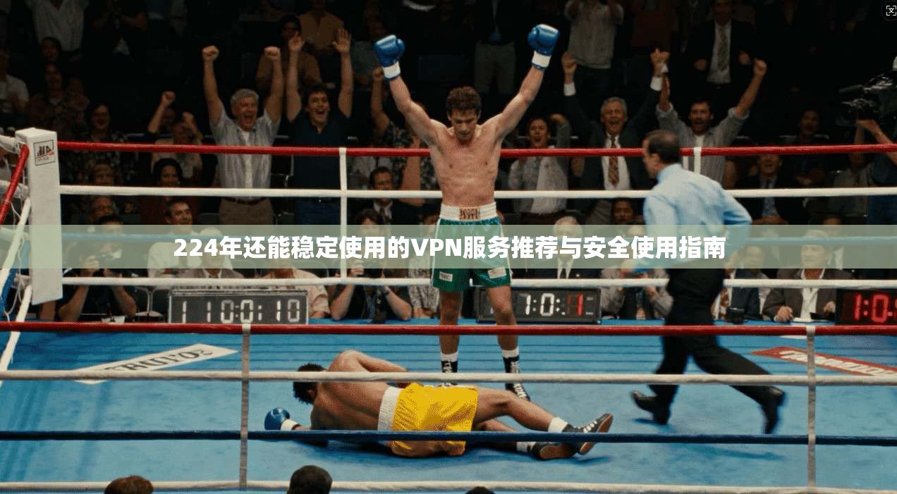 224年还能稳定使用的VPN服务推荐与安全使用指南