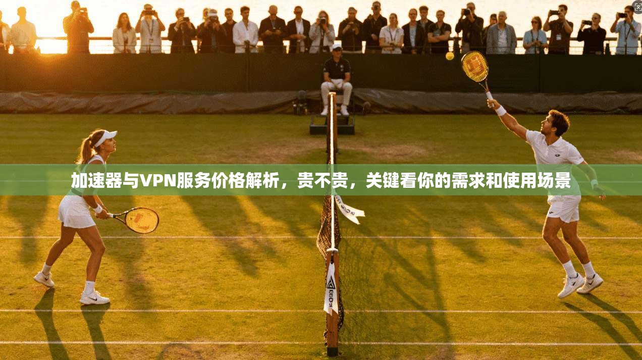 加速器与VPN服务价格解析，贵不贵，关键看你的需求和使用场景