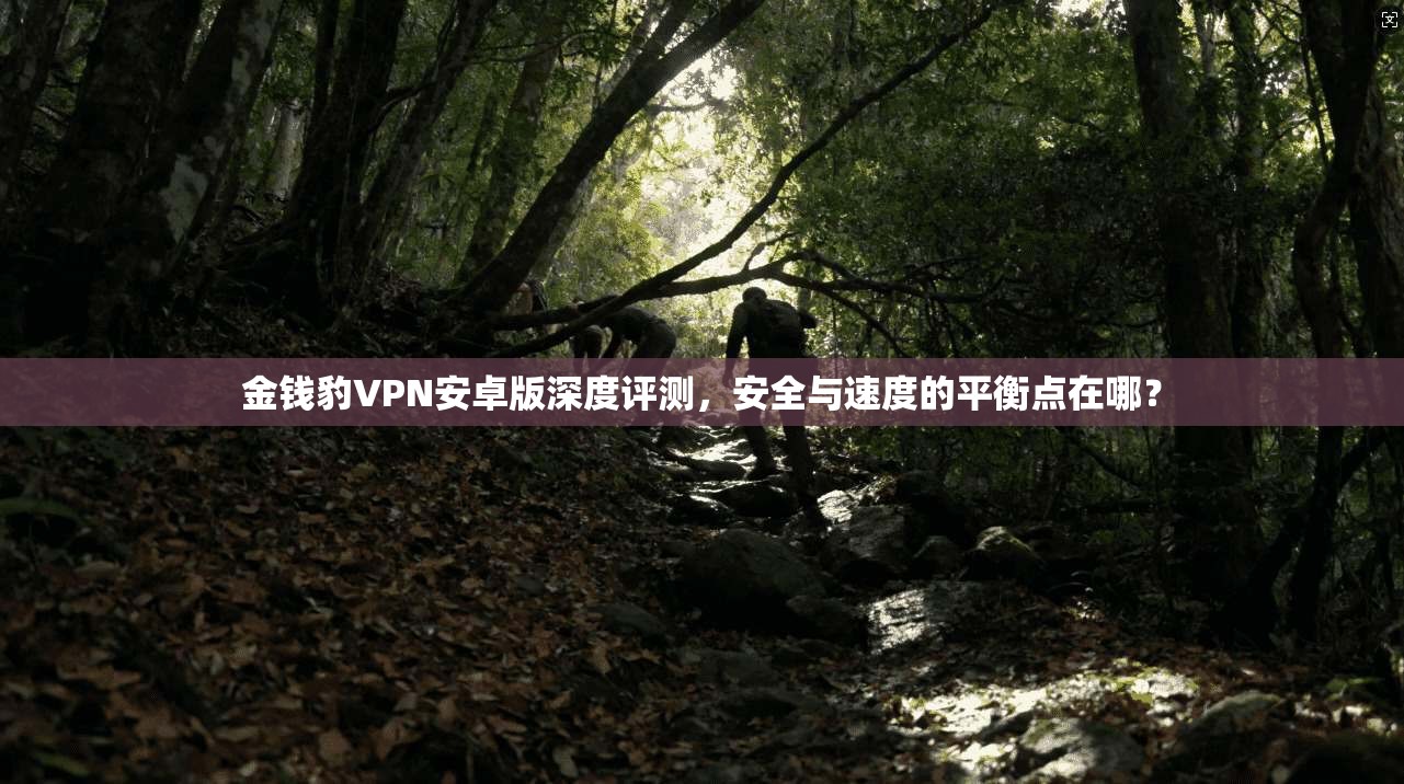 金钱豹VPN安卓版深度评测，安全与速度的平衡点在哪？