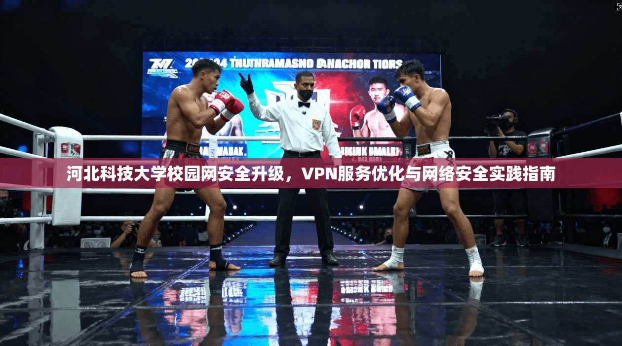 河北科技大学校园网安全升级，VPN服务优化与网络安全实践指南