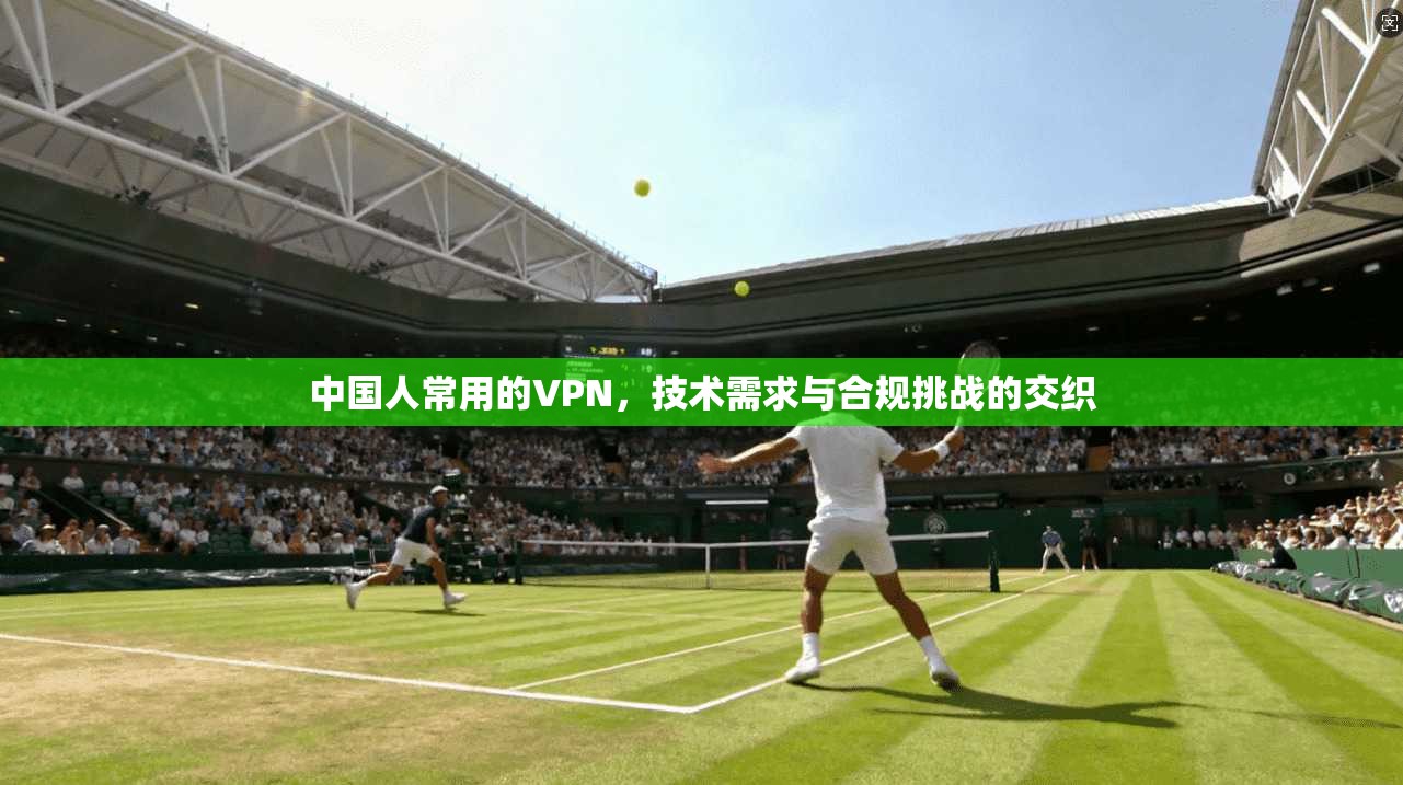 中国人常用的VPN，技术需求与合规挑战的交织
