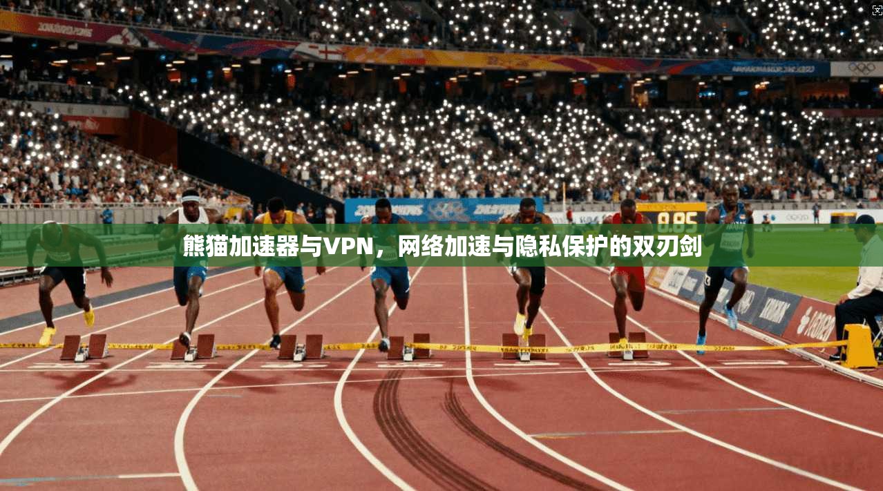 熊猫加速器与VPN，网络加速与隐私保护的双刃剑