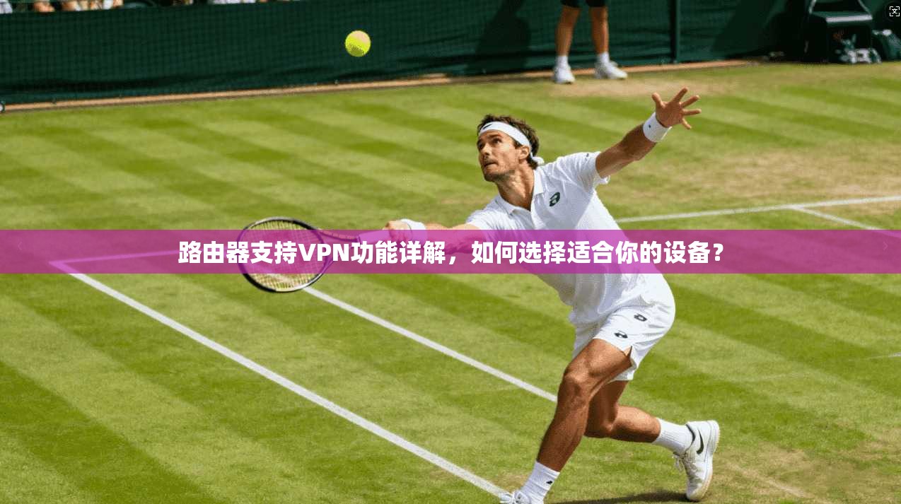路由器支持VPN功能详解，如何选择适合你的设备？