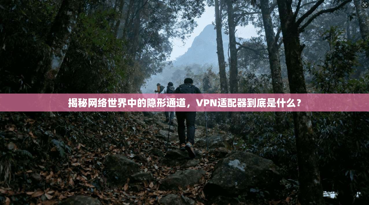 揭秘网络世界中的隐形通道，VPN适配器到底是什么？