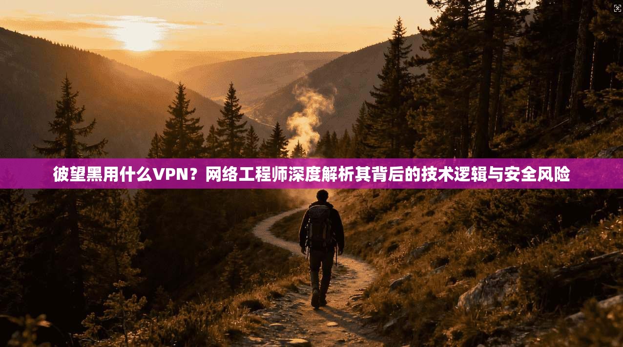 彼望黑用什么VPN？网络工程师深度解析其背后的技术逻辑与安全风险