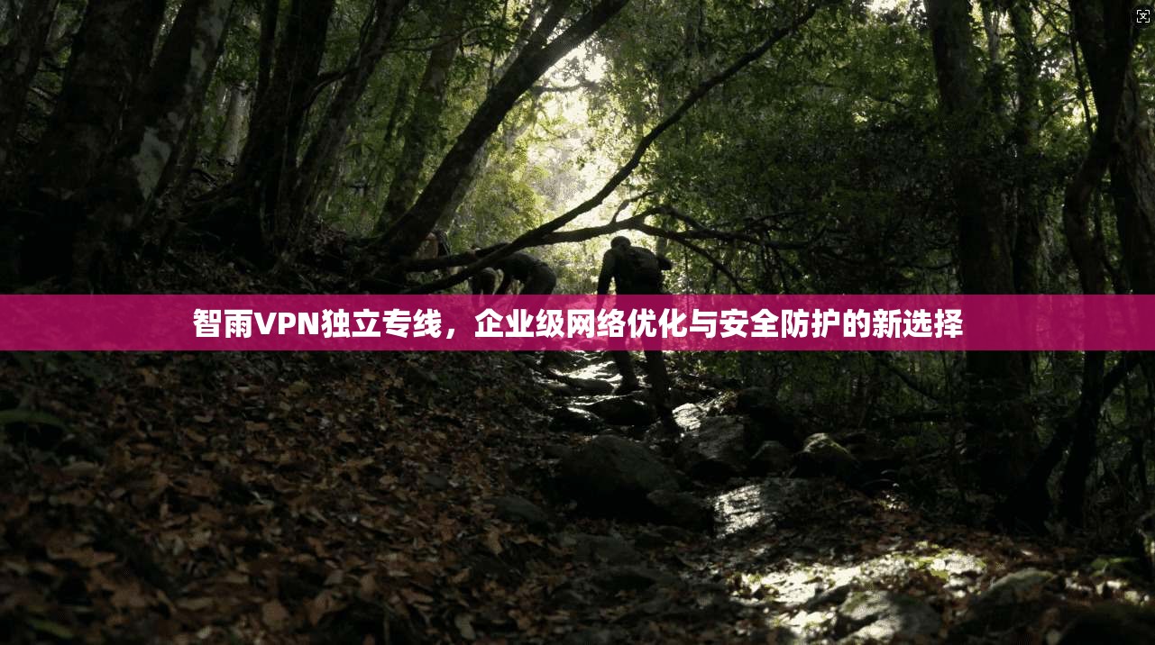 智雨VPN独立专线，企业级网络优化与安全防护的新选择