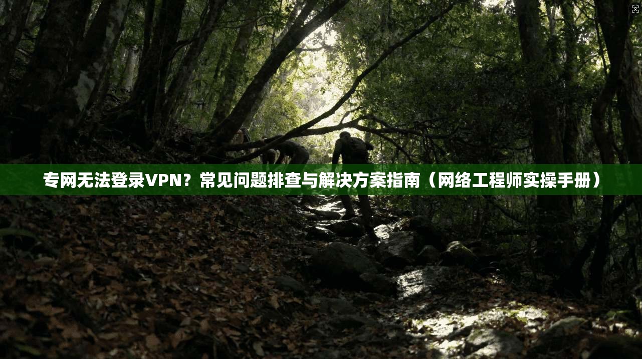 专网无法登录VPN？常见问题排查与解决方案指南（网络工程师实操手册）