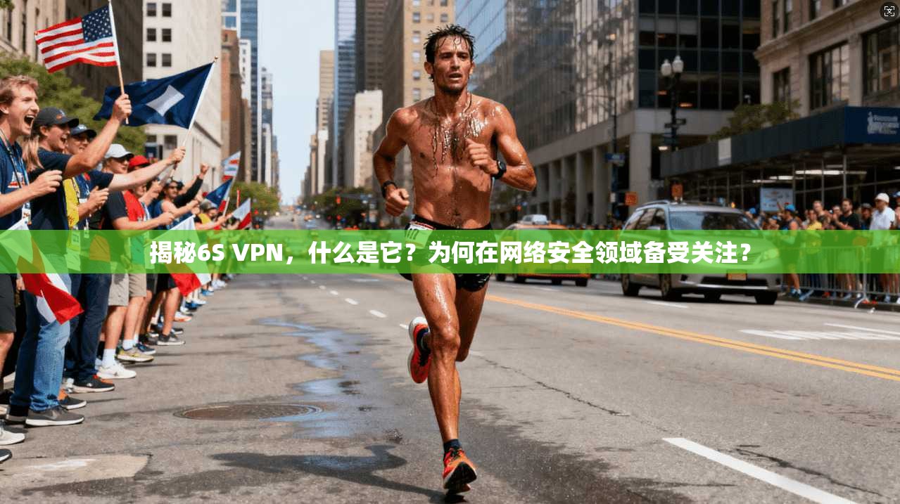 揭秘6S VPN，什么是它？为何在网络安全领域备受关注？