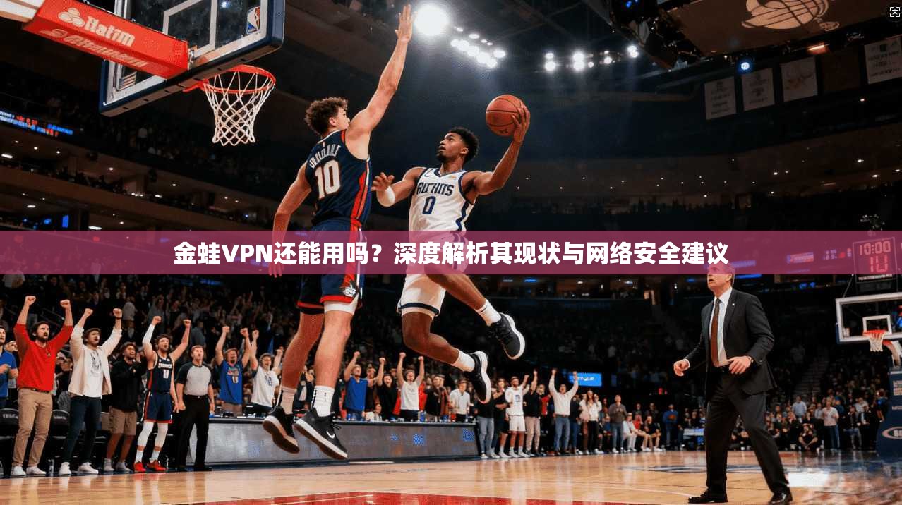 金蛙VPN还能用吗？深度解析其现状与网络安全建议