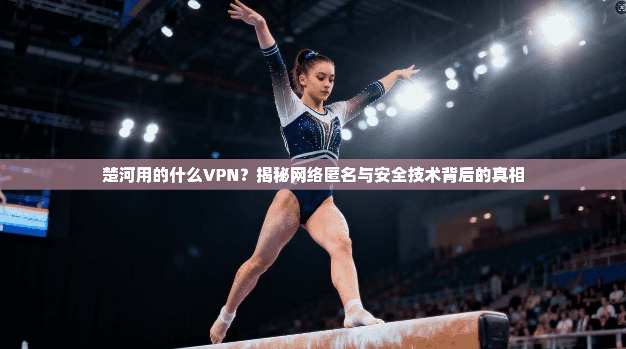 楚河用的什么VPN？揭秘网络匿名与安全技术背后的真相