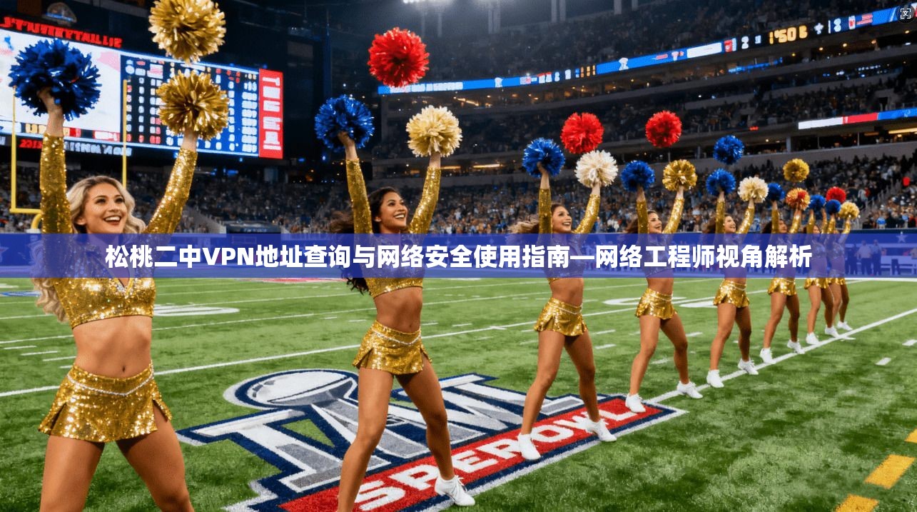 松桃二中VPN地址查询与网络安全使用指南—网络工程师视角解析