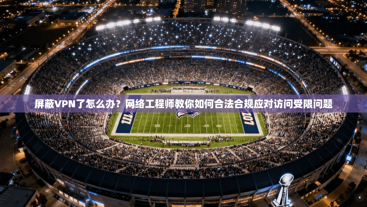 屏蔽VPN了怎么办？网络工程师教你如何合法合规应对访问受限问题