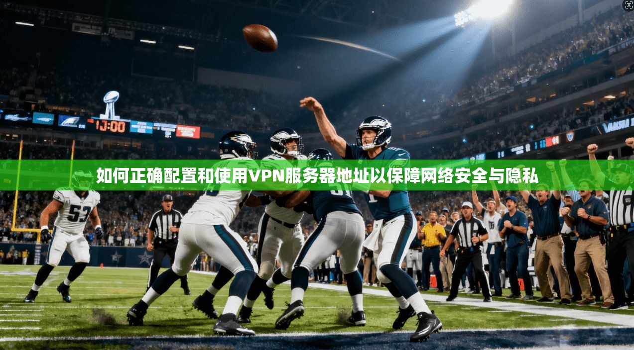 如何正确配置和使用VPN服务器地址以保障网络安全与隐私