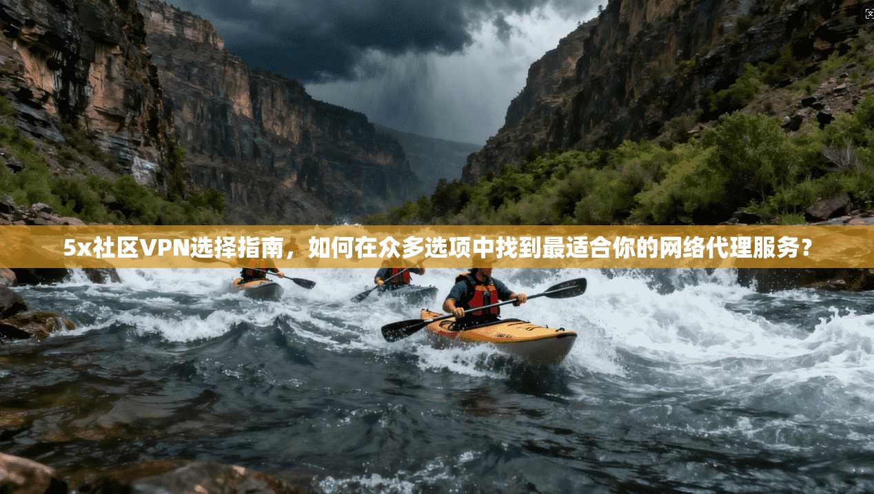 5x社区VPN选择指南，如何在众多选项中找到最适合你的网络代理服务？