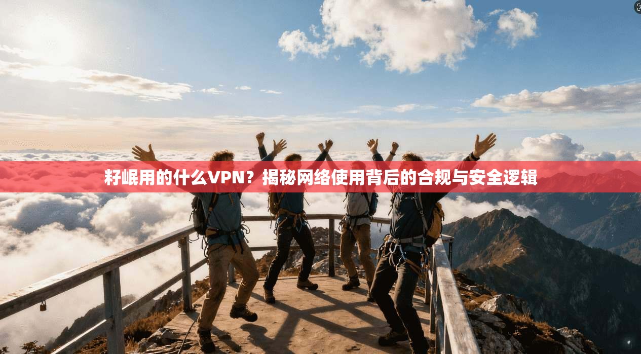 籽岷用的什么VPN？揭秘网络使用背后的合规与安全逻辑
