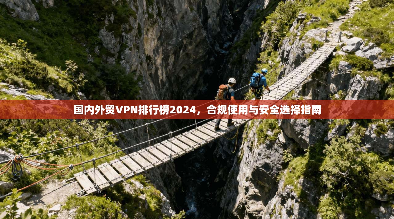 国内外贸VPN排行榜2024，合规使用与安全选择指南