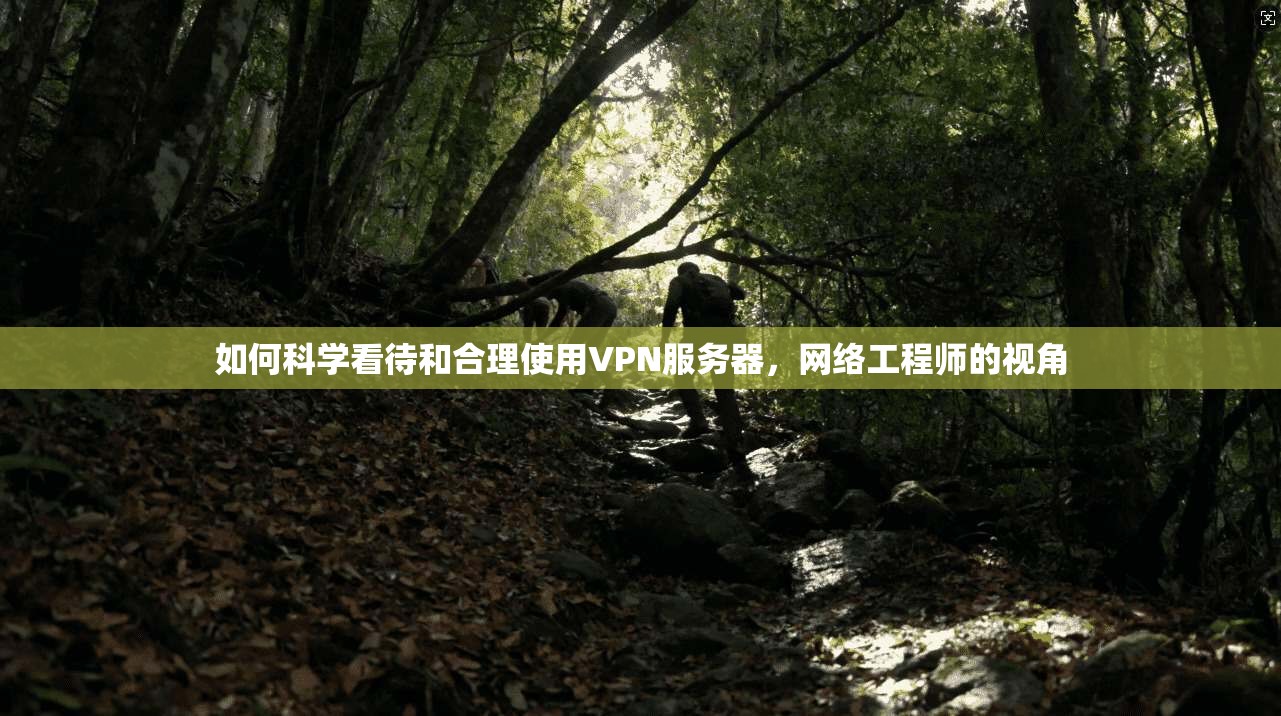 如何科学看待和合理使用VPN服务器，网络工程师的视角