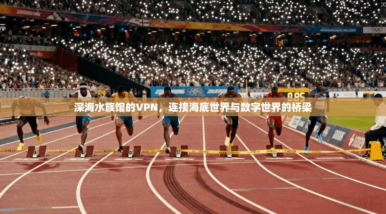 深海水族馆的VPN，连接海底世界与数字世界的桥梁