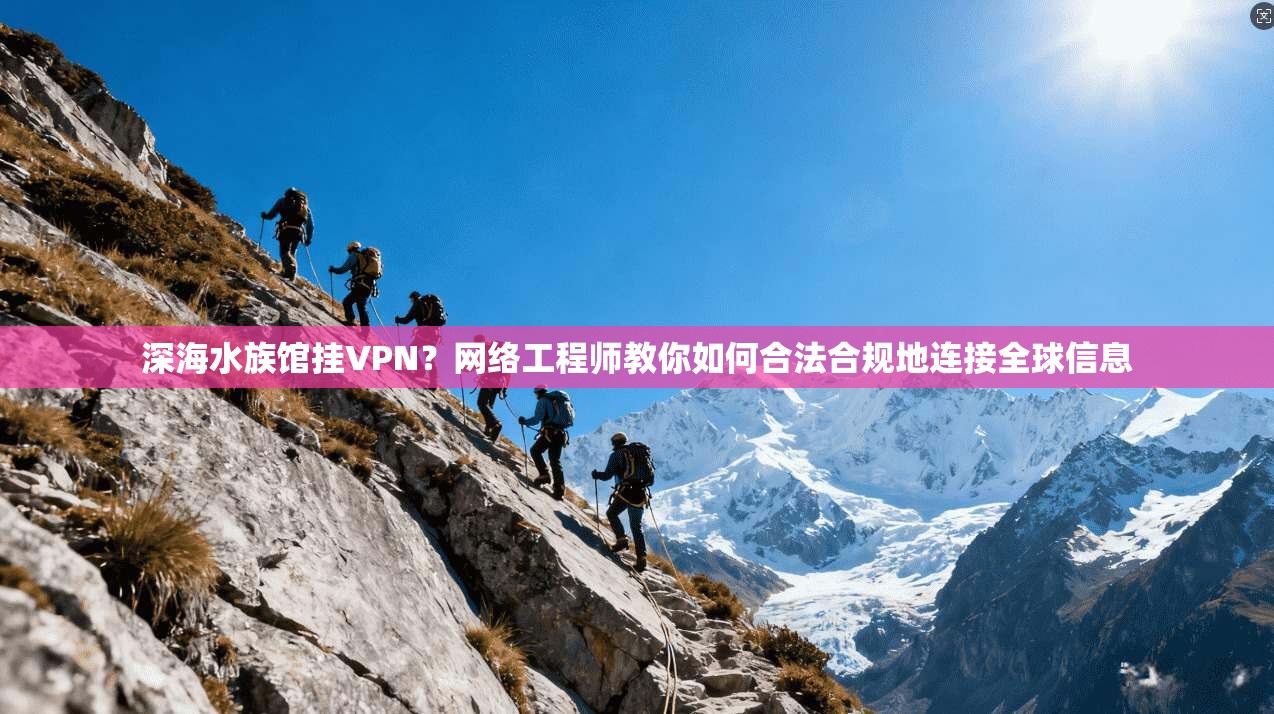 深海水族馆挂VPN？网络工程师教你如何合法合规地连接全球信息