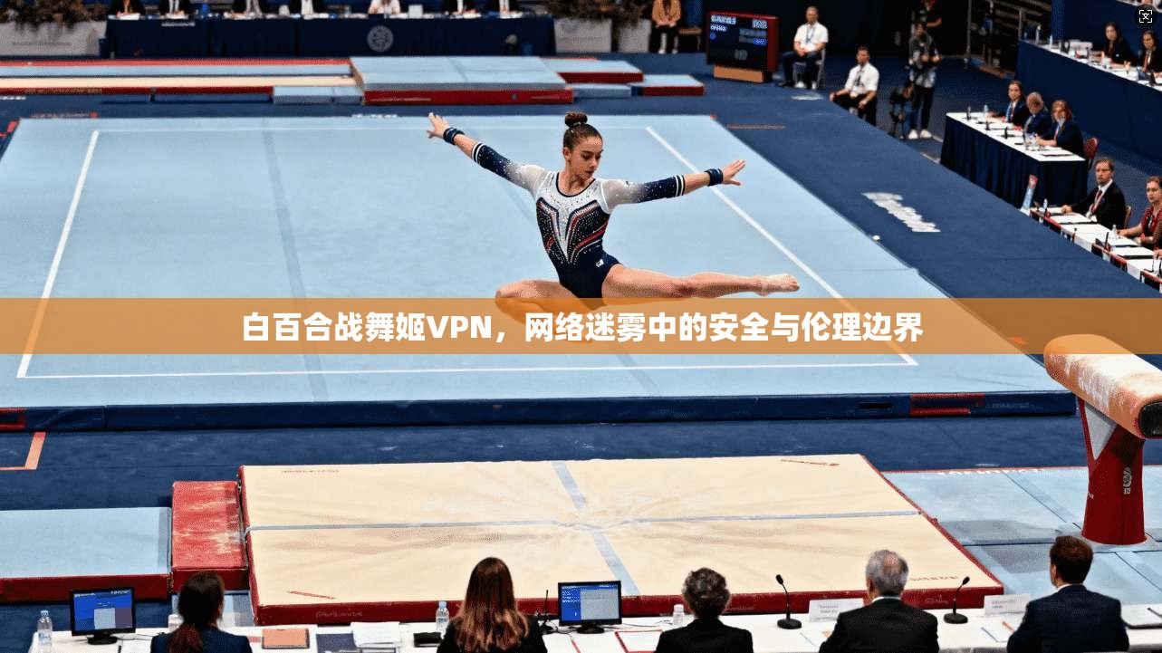 白百合战舞姬VPN，网络迷雾中的安全与伦理边界
