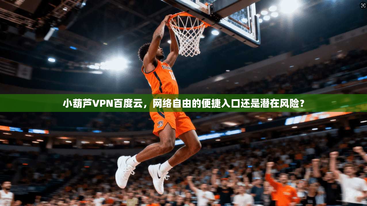 小葫芦VPN百度云，网络自由的便捷入口还是潜在风险？