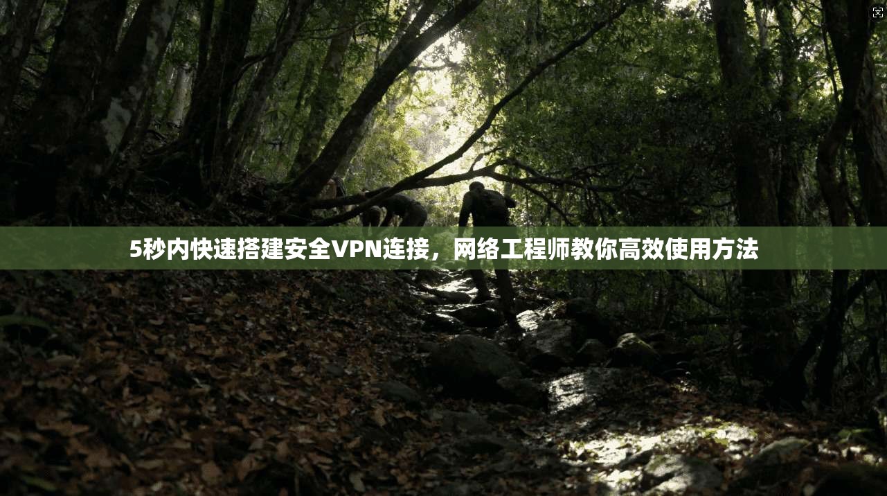 5秒内快速搭建安全VPN连接，网络工程师教你高效使用方法