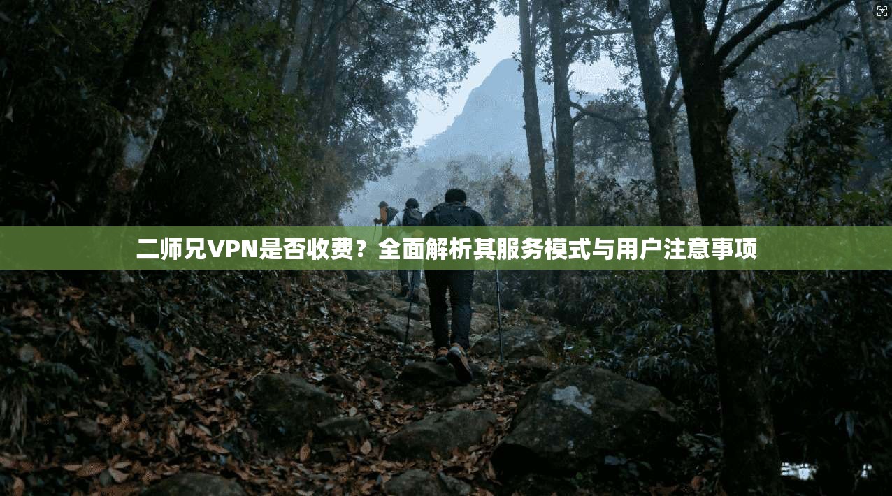 二师兄VPN是否收费？全面解析其服务模式与用户注意事项
