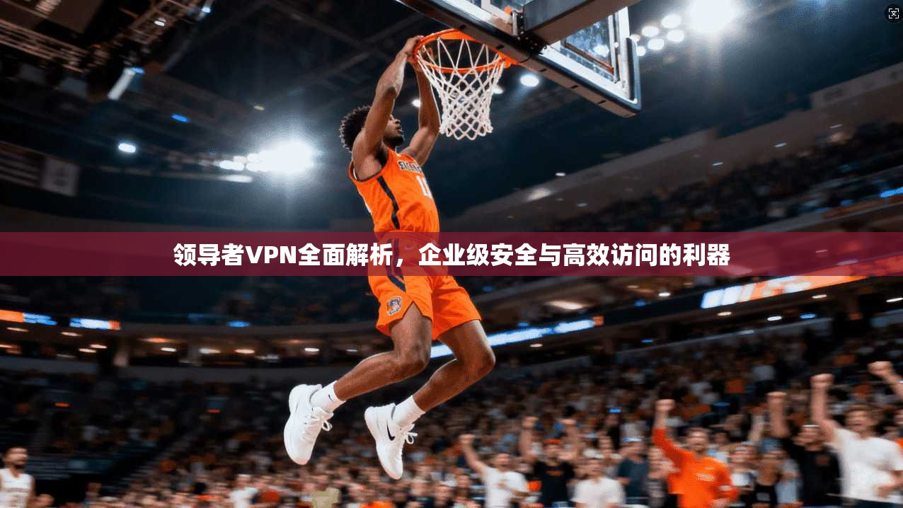 领导者VPN全面解析，企业级安全与高效访问的利器