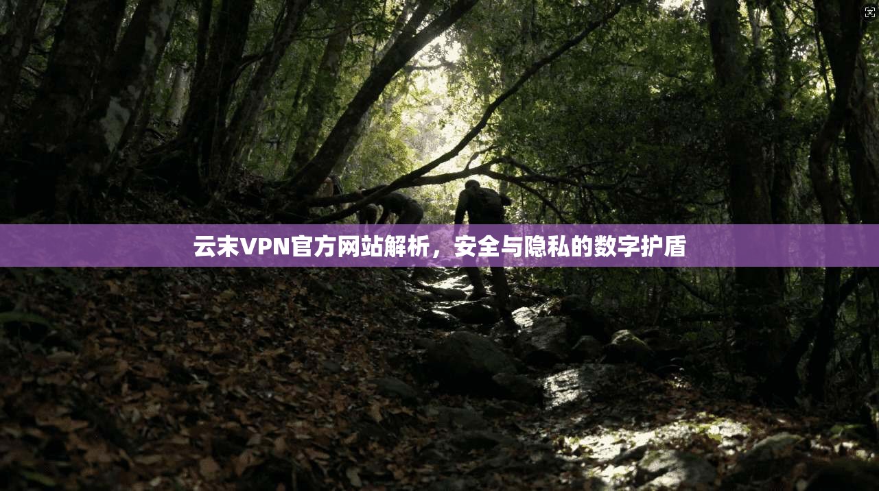 云末VPN官方网站解析，安全与隐私的数字护盾