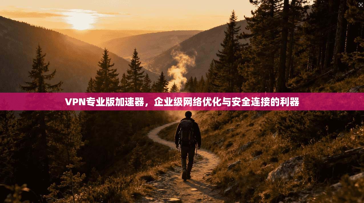 VPN专业版加速器，企业级网络优化与安全连接的利器
