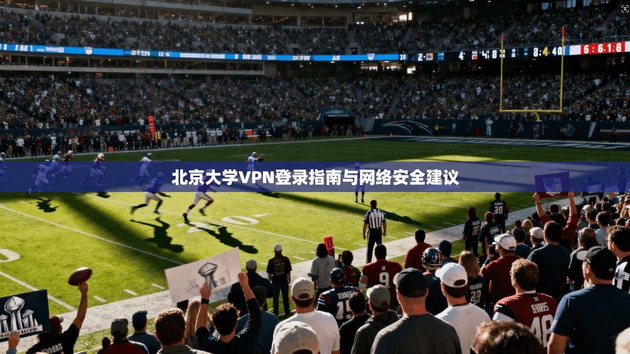 北京大学VPN登录指南与网络安全建议