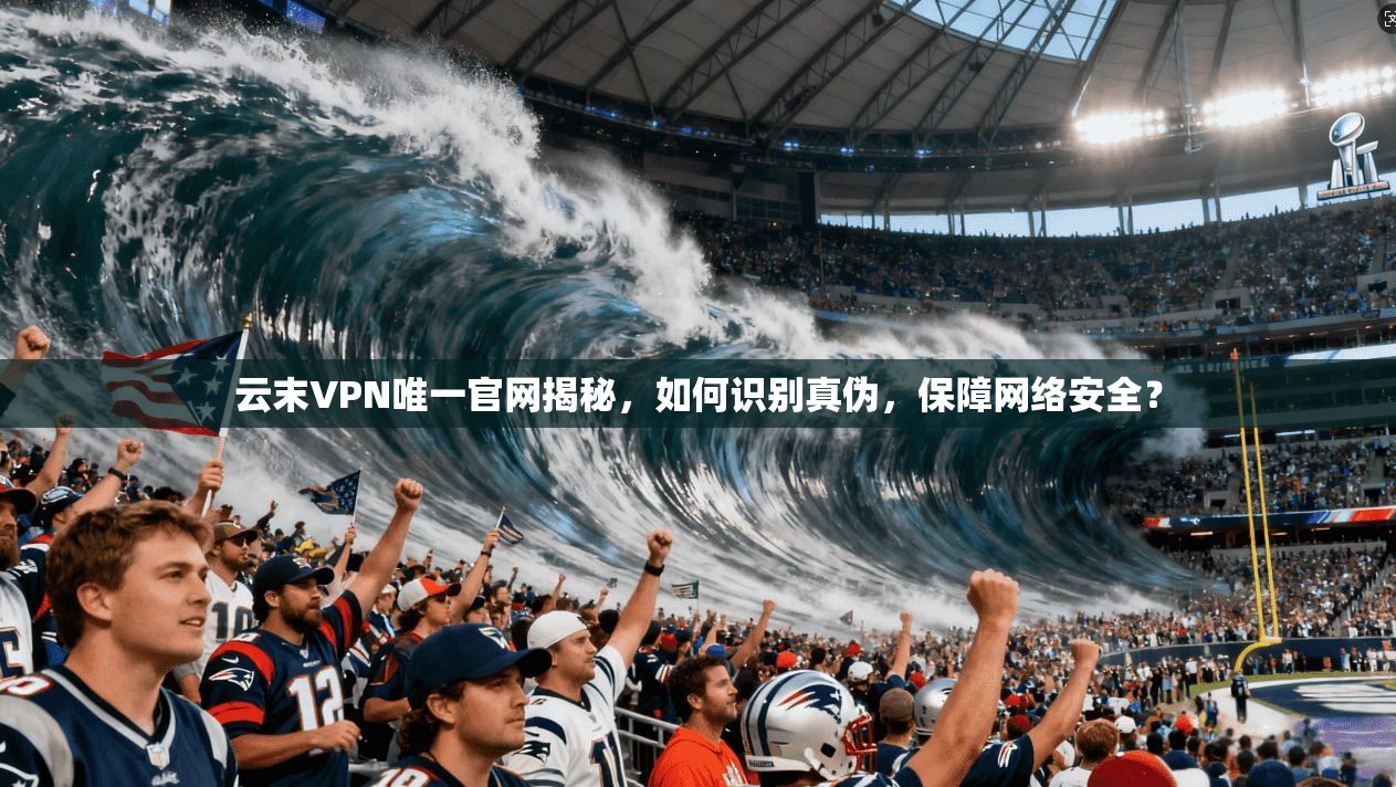 云末VPN唯一官网揭秘，如何识别真伪，保障网络安全？
