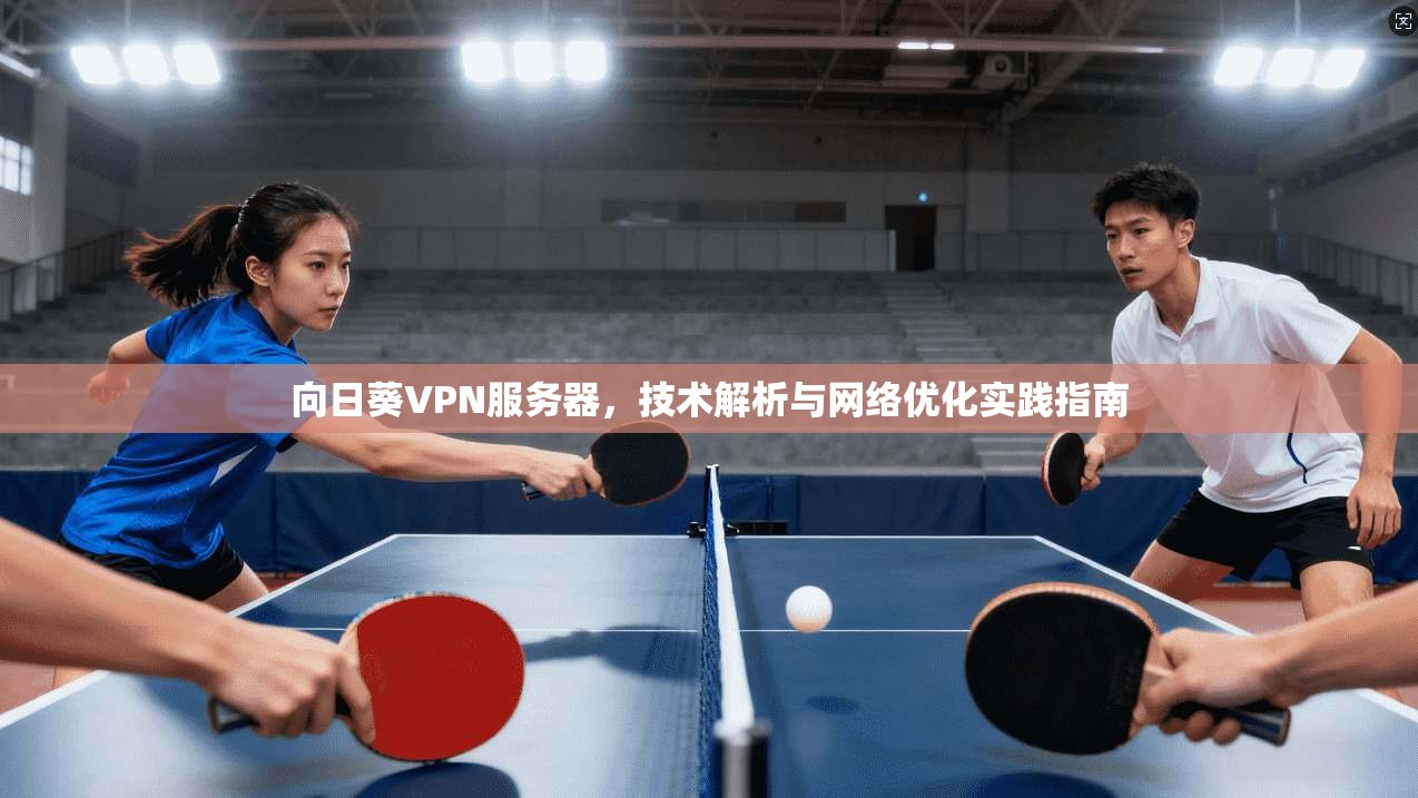 向日葵VPN服务器，技术解析与网络优化实践指南