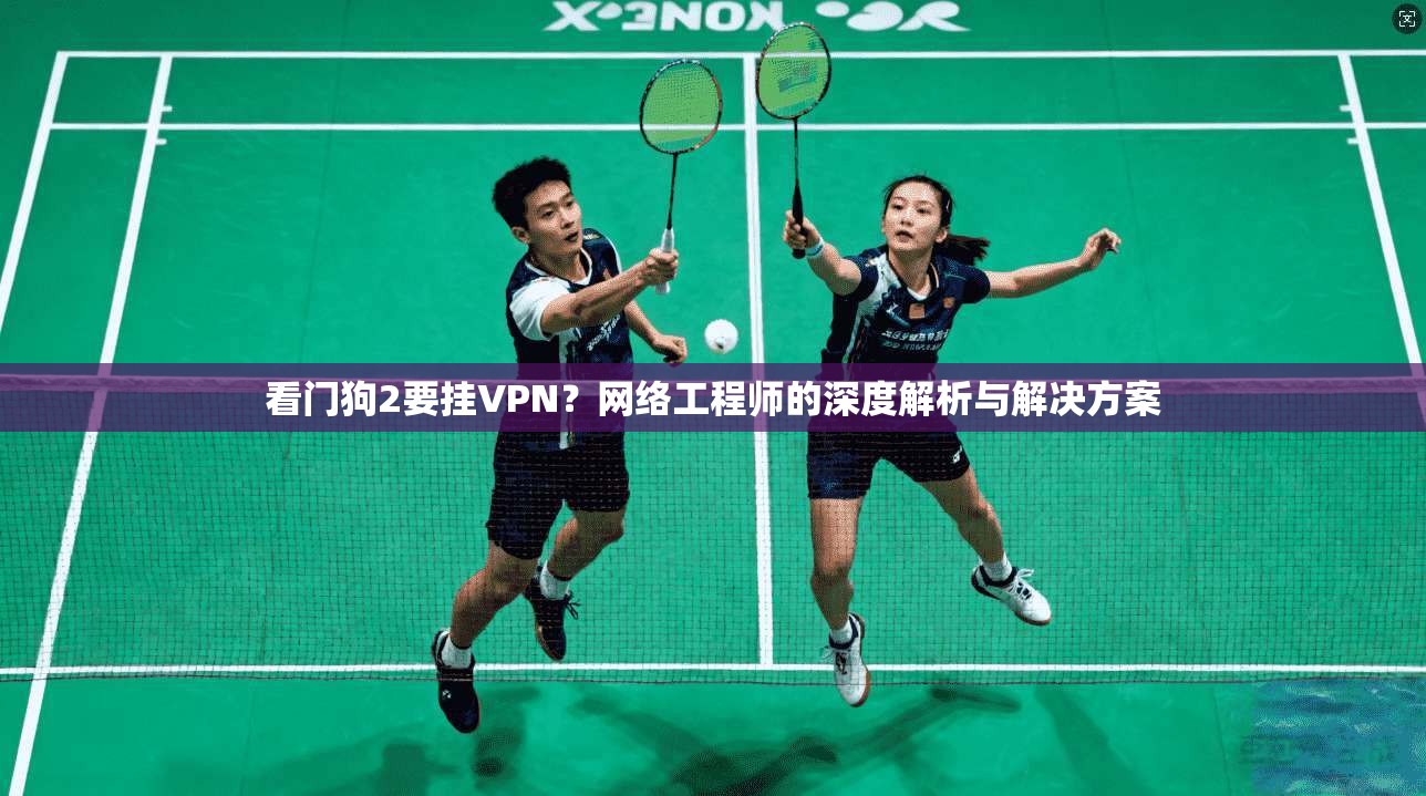 看门狗2要挂VPN？网络工程师的深度解析与解决方案