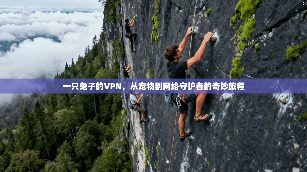 一只兔子的VPN，从宠物到网络守护者的奇妙旅程