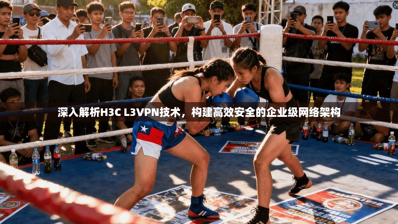 深入解析H3C L3VPN技术，构建高效安全的企业级网络架构