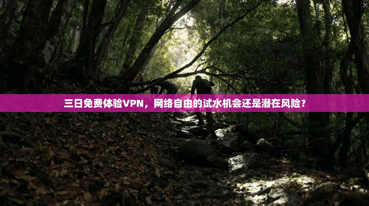 三日免费体验VPN，网络自由的试水机会还是潜在风险？