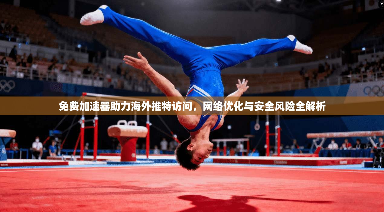 免费加速器助力海外推特访问，网络优化与安全风险全解析