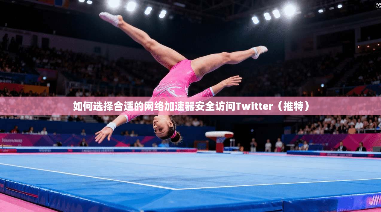 如何选择合适的网络加速器安全访问Twitter（推特）