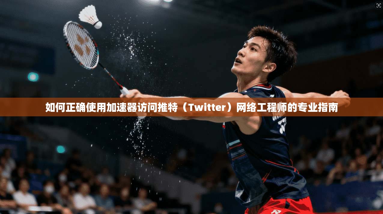 如何正确使用加速器访问推特（Twitter）网络工程师的专业指南