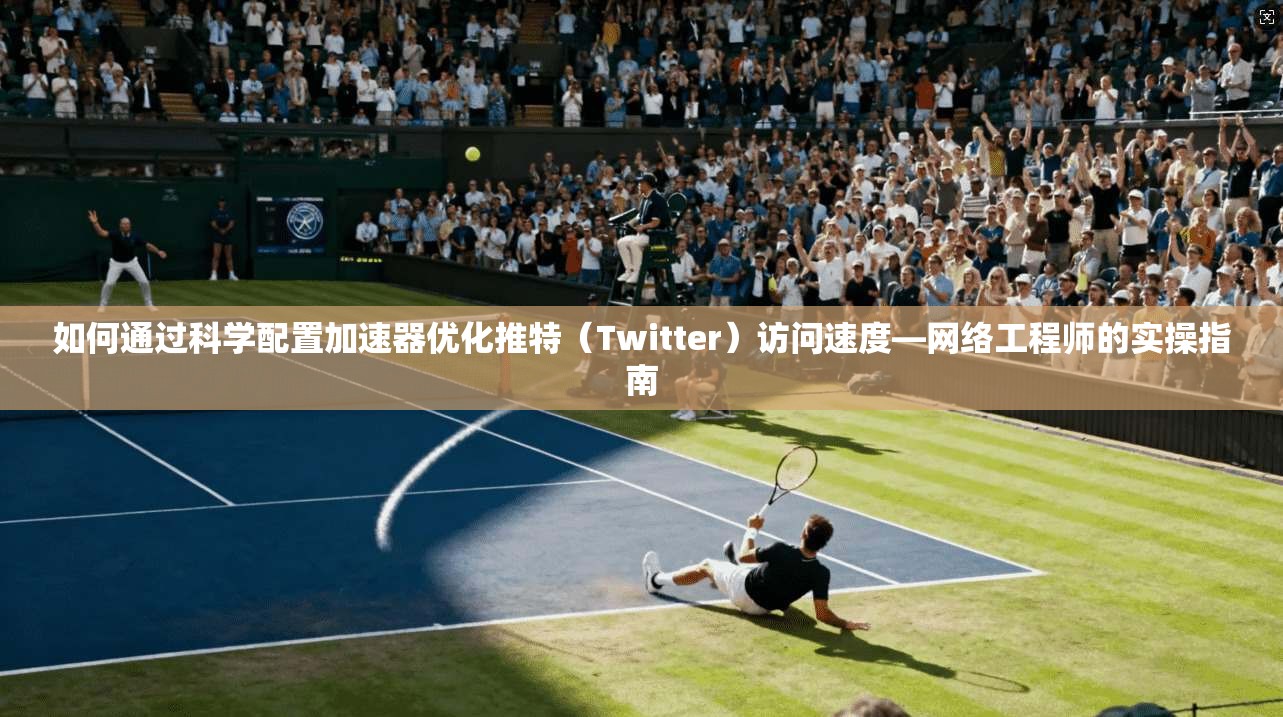 如何通过科学配置加速器优化推特（Twitter）访问速度—网络工程师的实操指南