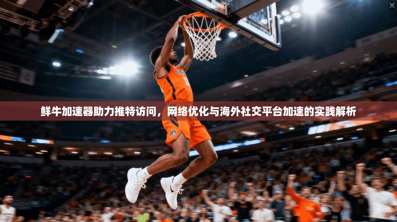 鲜牛加速器助力推特访问，网络优化与海外社交平台加速的实践解析