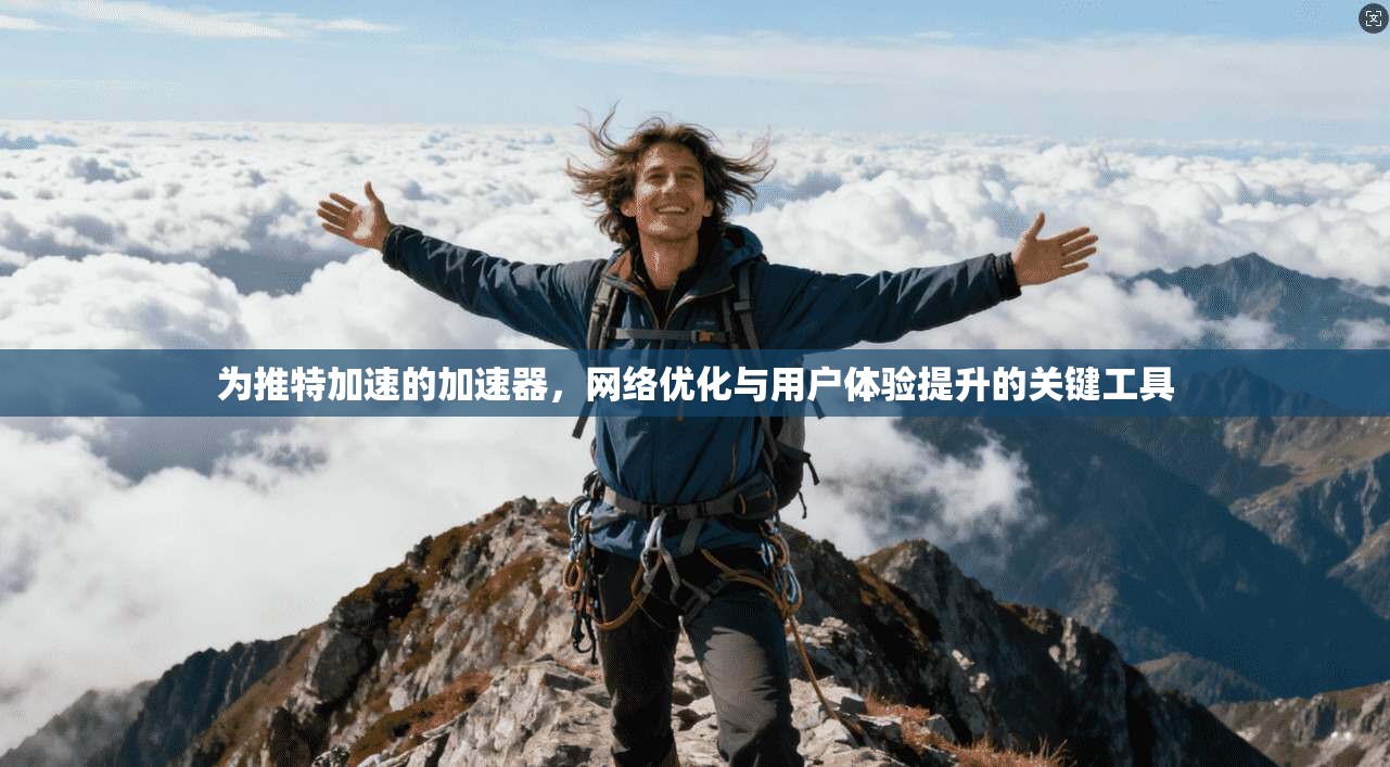 为推特加速的加速器，网络优化与用户体验提升的关键工具