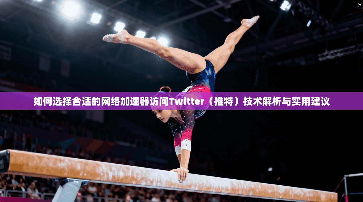 如何选择合适的网络加速器访问Twitter（推特）技术解析与实用建议