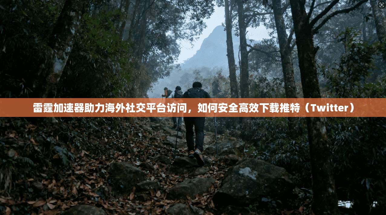雷霆加速器助力海外社交平台访问，如何安全高效下载推特（Twitter）