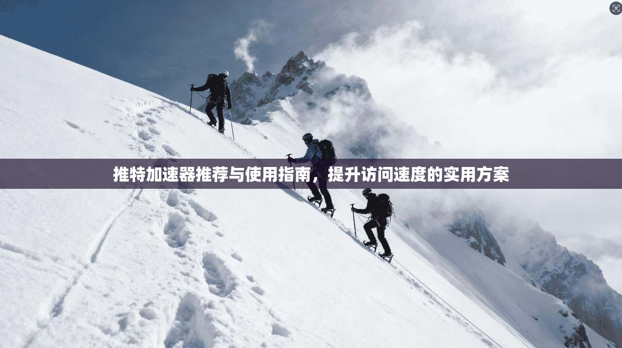 推特加速器推荐与使用指南，提升访问速度的实用方案